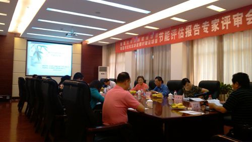 龙翔国际建设、武蛟旅游项目米兰体育官网登录入口专家评