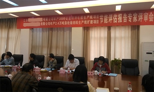 米兰体育官网登录入口报告完成专家评审